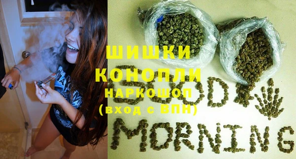стаф Иннополис