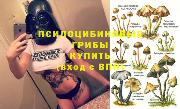 эйфоретик Инсар