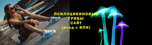 эйфоретик Инсар
