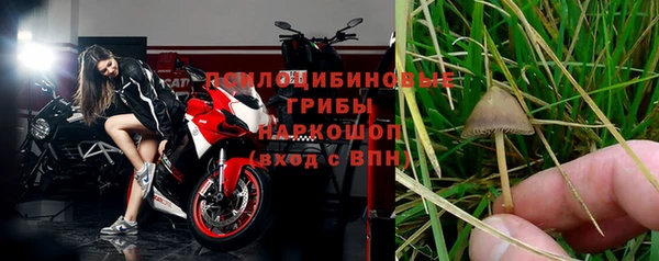 эйфоретик Инсар