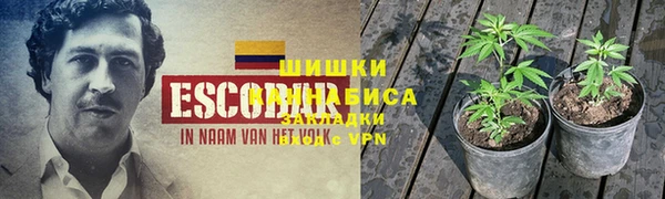 стаф Иннополис