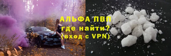 стаф Иннополис