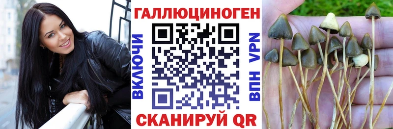 Галлюциногенные грибы прущие грибы  Камень-на-Оби 